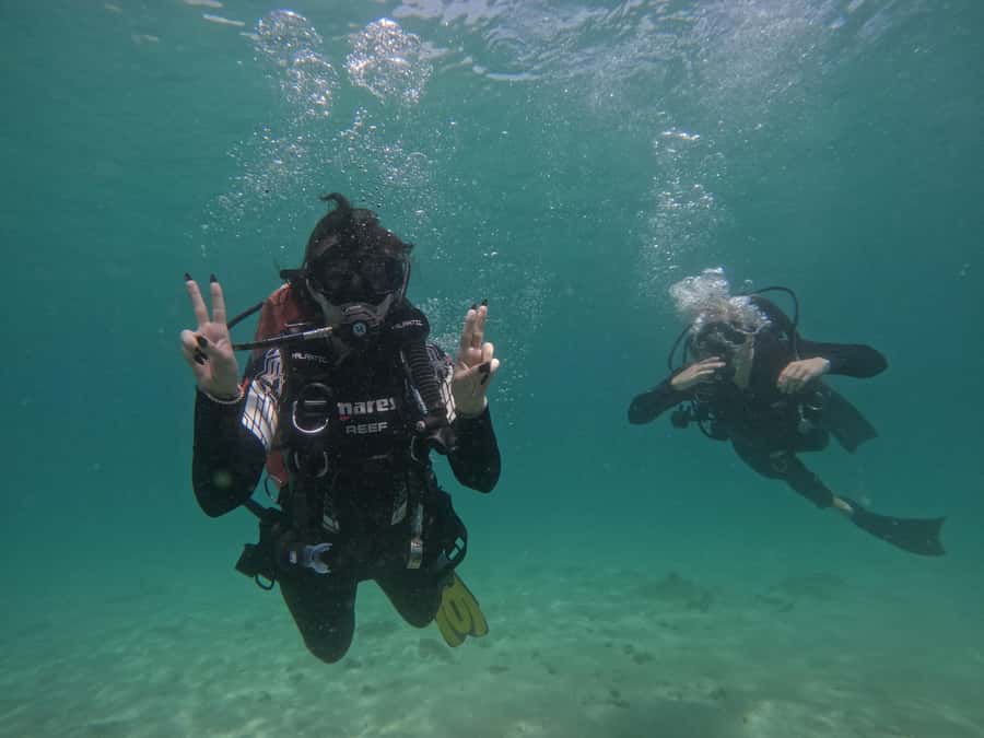 From Dubai: Try Scuba Diving, Snorkeling with BBQ & Transfer - Sharm Rocks and the second chance to snorkel