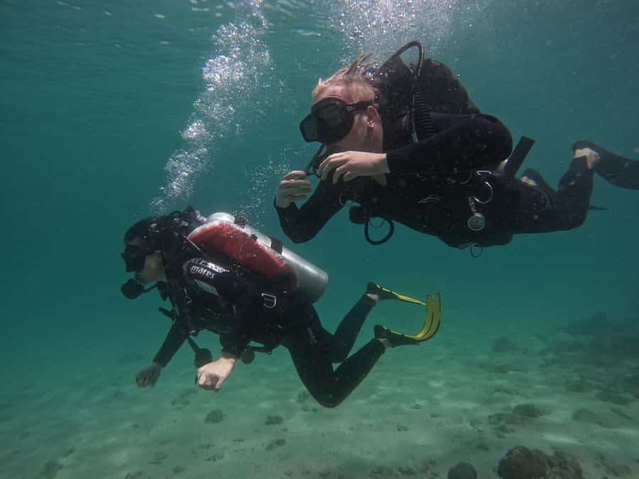 From Dubai: Try Scuba Diving, Snorkeling with BBQ & Transfer - Who should book this Fujairah outing