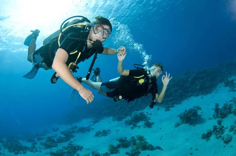 Fujairah: 2 Fun Dive Experience for Certified Divers - From Dubai to the Gulf of Oman