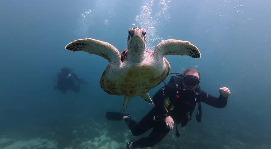 Fujairah: 2 Fun Dive Experience for Certified Divers - The short boat ride to Dibba Rock