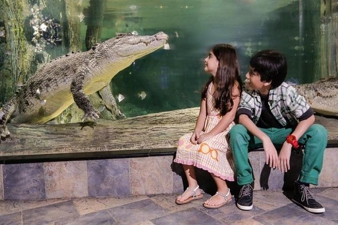 Full Day Dubai City Tour: Burj Khalifa & Underwater Zoo Ticket - An Abra Ride Into Old Dubai