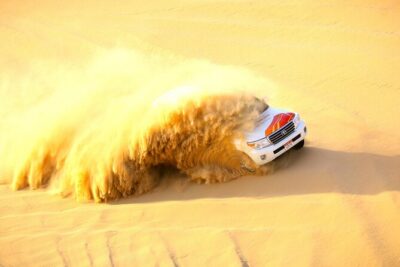 Half-Day Desert Safari from Abu Dhabi