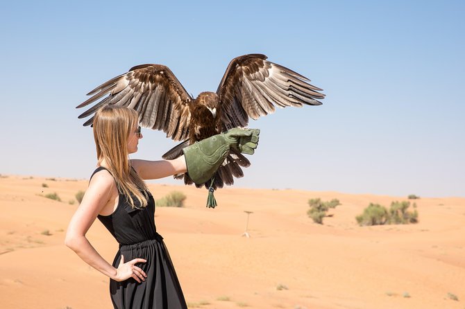 Half-Day Evening Desert Safari in Dubai with BBQ Dinner - Sunset above the desert