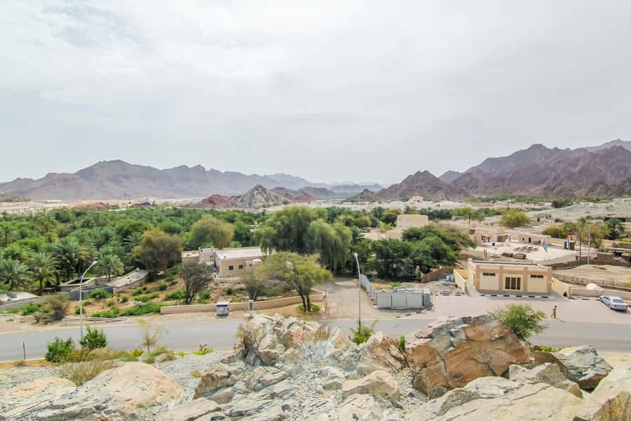 Hatta Safari & Honey Bee Garden Visit - Why this Hatta trip feels different from a standard desert safari