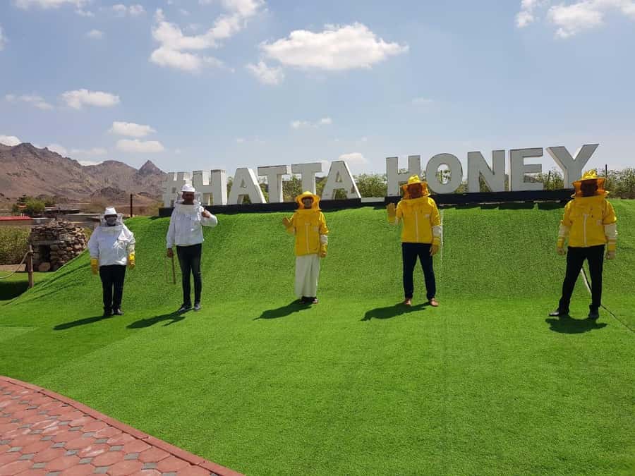 Hatta Safari & Honey Bee Garden Visit - Sandboarding and the Fossil Rock stop