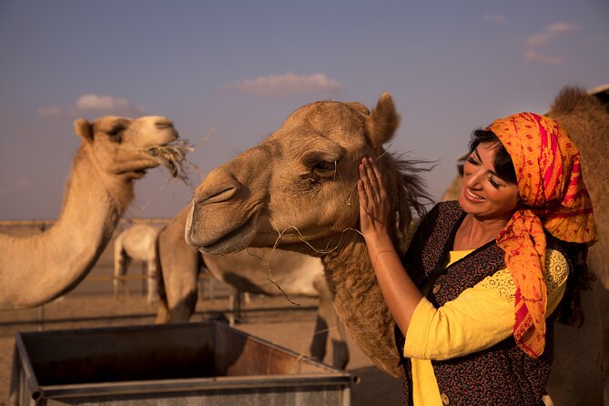 High Red Dunes with Camel Ride, Sandboarding, Falcon Show and VIP BBQ Dinner - Leaving Dubai for the Lahbab desert