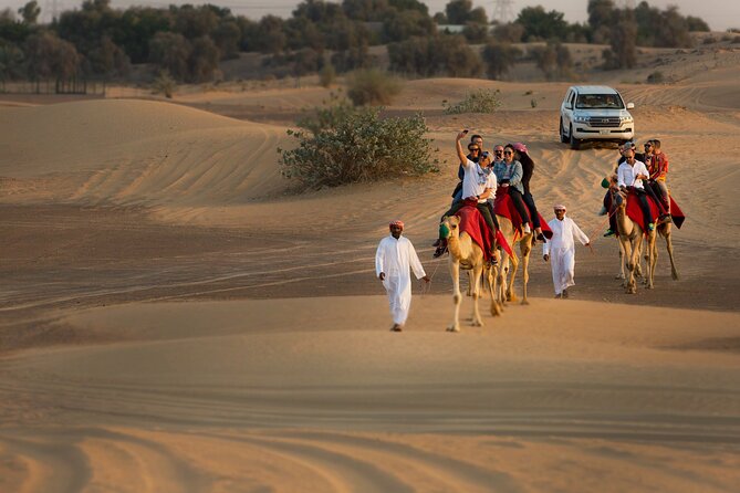 High Red Dunes with Camel Ride, Sandboarding, Falcon Show and VIP BBQ Dinner - Sandboarding on soft, steep dunes