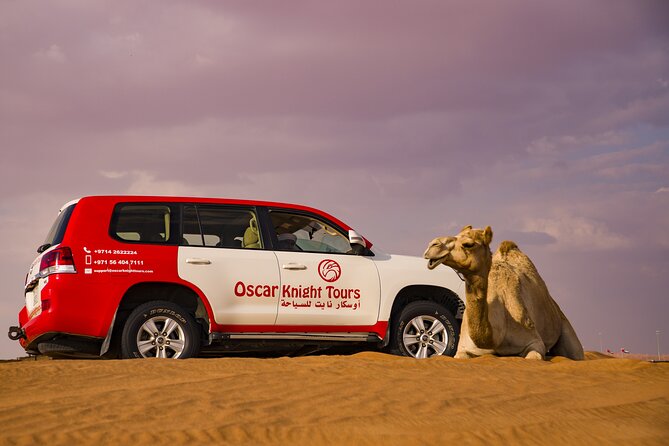 High Red Dunes with Camel Ride, Sandboarding, Falcon Show and VIP BBQ Dinner - Is $80 a fair price?