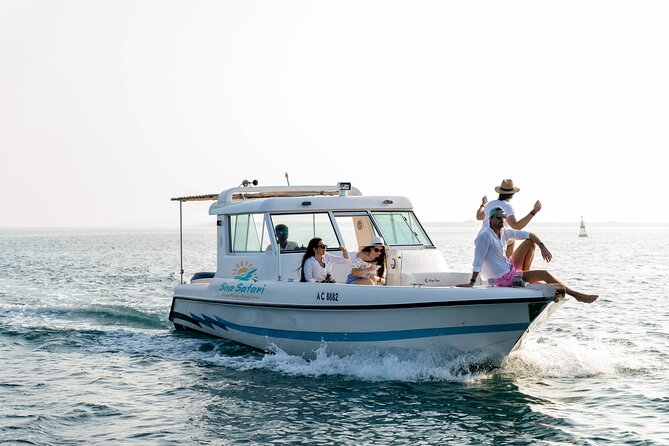 Island Hopping Sharing-4 hours trip - Seeing Abu Dhabi from the Persian Gulf
