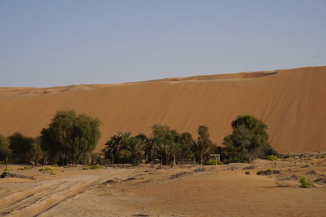 Liwa Full Day Desert Safari from Abu Dhabi - Sunset over the Empty Quarter