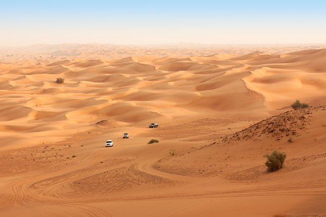 Liwa Full Day Desert Safari from Abu Dhabi - Dune bashing with an experienced 4x4 driver