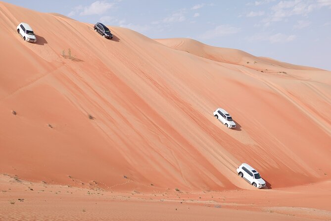 Liwa Oasis Desert Drive from Abu Dhabi - From Abu Dhabi to the Edge of the Empty Quarter