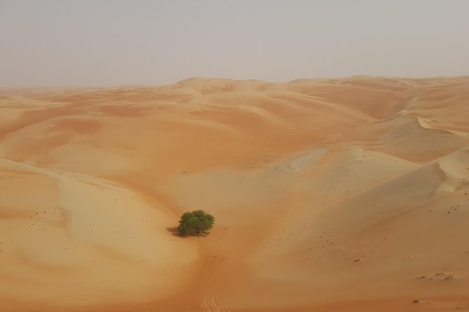 Liwa Oasis Desert Drive from Abu Dhabi - Is $350 a Fair Price?