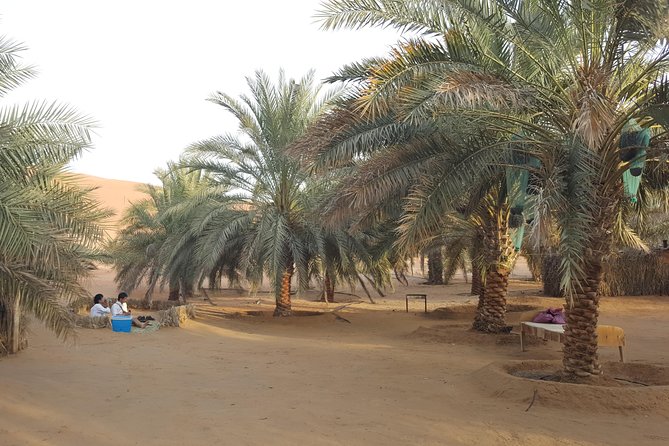 Liwa Oasis Desert Drive from Abu Dhabi - Practical Tips for a Better Day