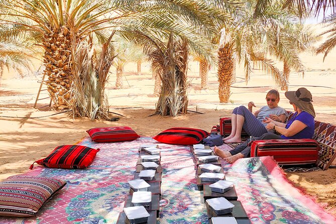 Liwa Oasis Desert Drive from Abu Dhabi - Looking for Gazelles, Rabbits, and Lizards