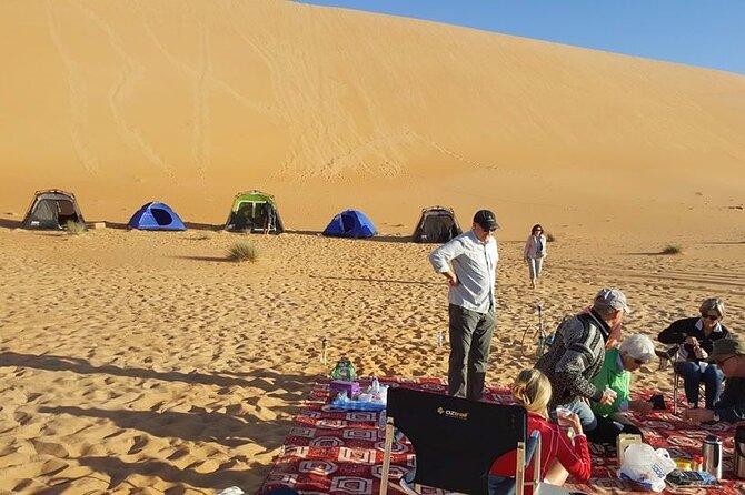 Liwa Over Night Safari - Who should book this Liwa safari?