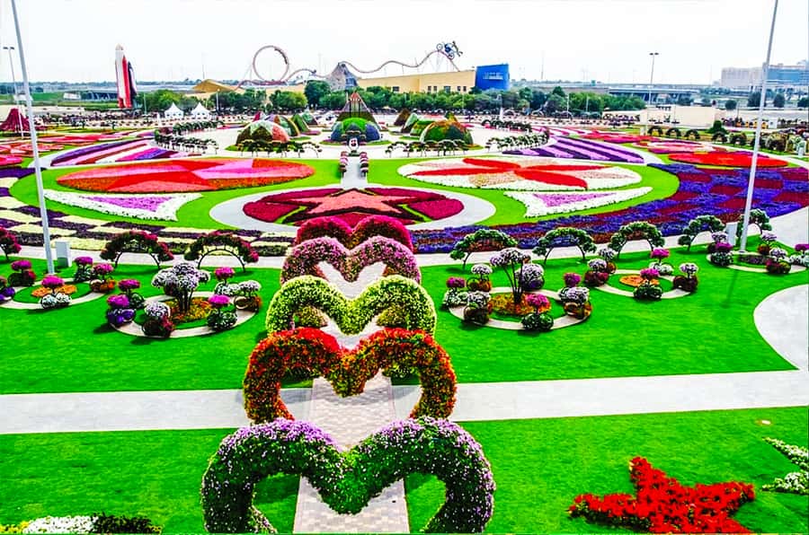 Miracle Flora & Fauna Marvels at Miracle Garden - Key points at a glance