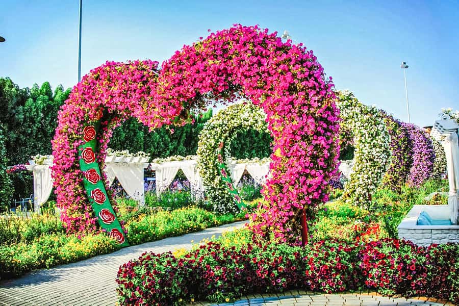 Miracle Flora & Fauna Marvels at Miracle Garden - Why this garden outing works in Dubai