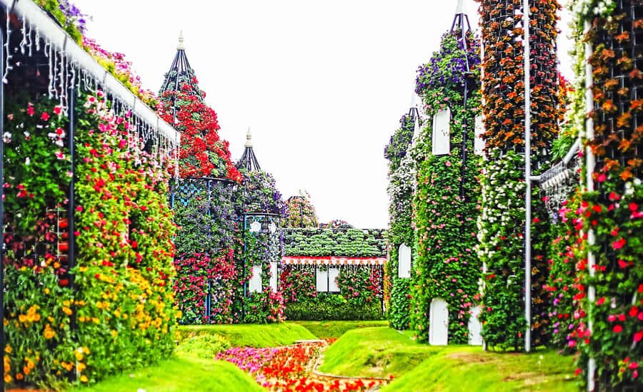 Miracle Flora & Fauna Marvels at Miracle Garden - Is $114 a fair price?
