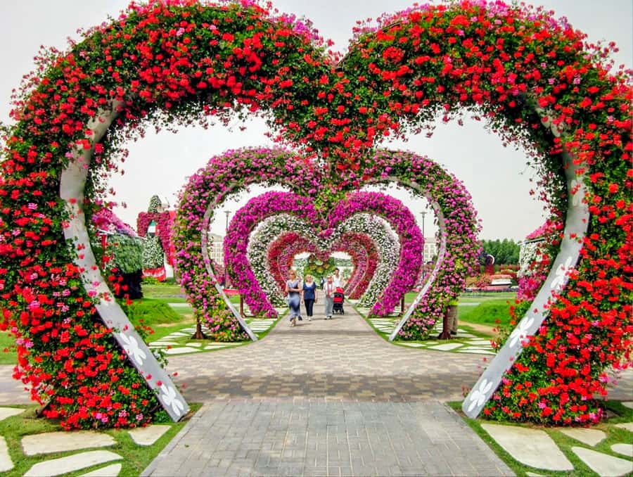 Miracle Flora & Fauna Marvels at Miracle Garden - Who will enjoy this tour most?