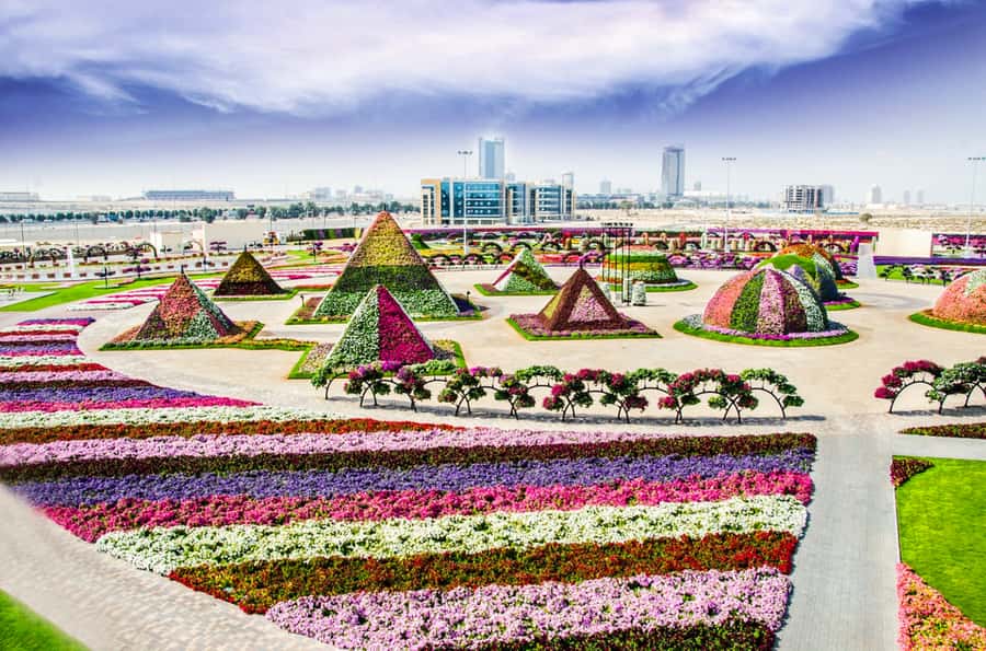 Miracle Flora & Fauna Marvels at Miracle Garden - What to bring and what to leave behind