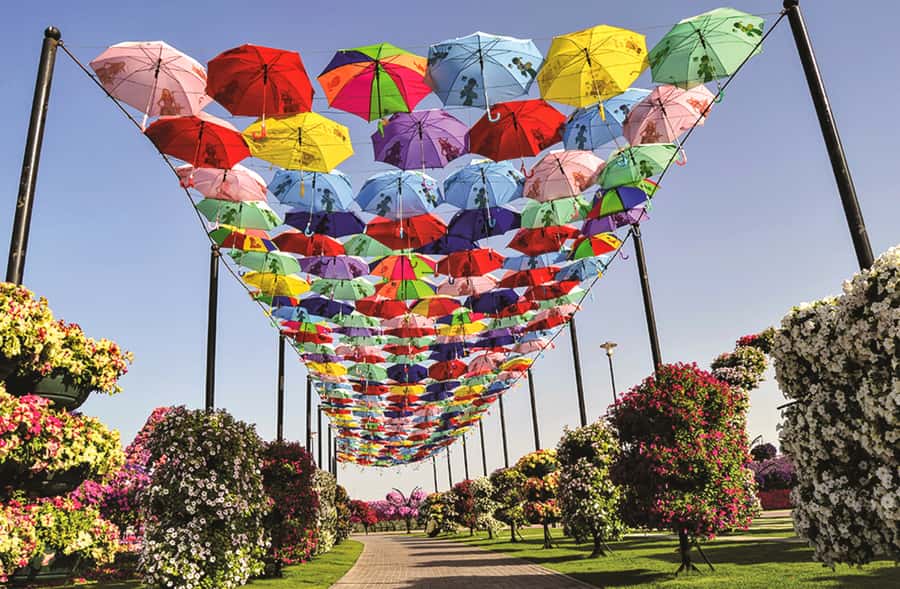 Miracle Flora & Fauna Marvels at Miracle Garden - The Butterfly Garden’s nine domes