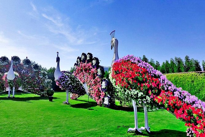 Miracle Garden: Dubai Flora and Fauna 4-Hour Tour - Timing, transport, and group size