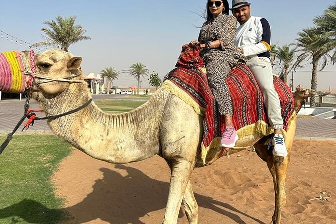 Morning Desert Safari, 25 Minutes ATV with 20 minutes Camel Ride - The 20-minute camel ride is traditional but brief