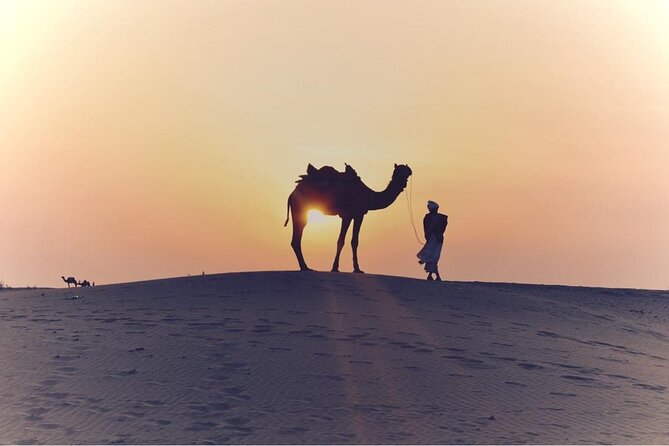 Morning Desert Safari, 25 Minutes ATV with 20 minutes Camel Ride - Dune bashing is the morning’s main adrenaline hit