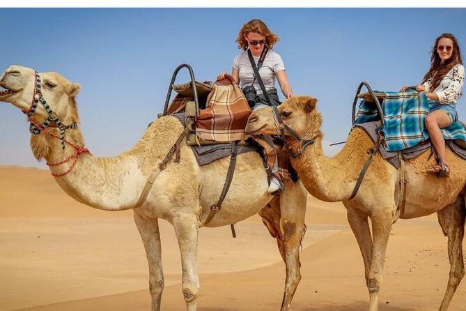 Morning Desert Safari, 25 Minutes ATV with 20 minutes Camel Ride - What the $60 price really covers
