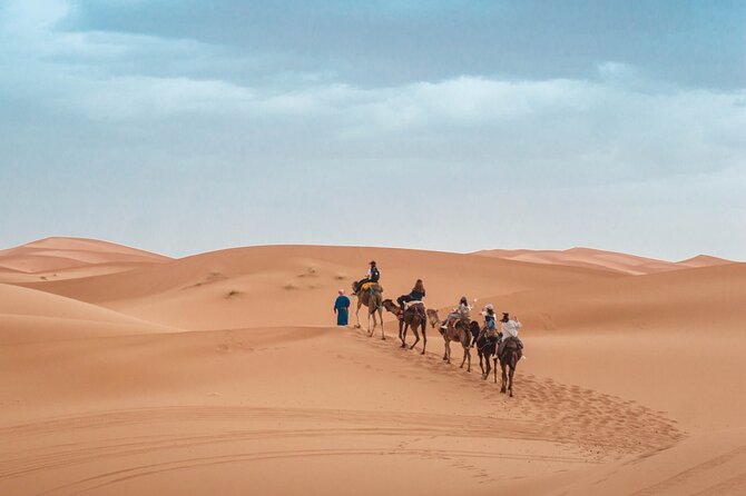 Morning Desert Safari From Abu Dhabi -Camel Ride,Sand Boarding,Camel Farm Visit - Quad Bikes and Other Paid Extras