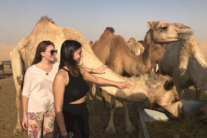 Morning Desert Safari with Camel Ride & Sand Skiing Private Tours - Key points at a glance