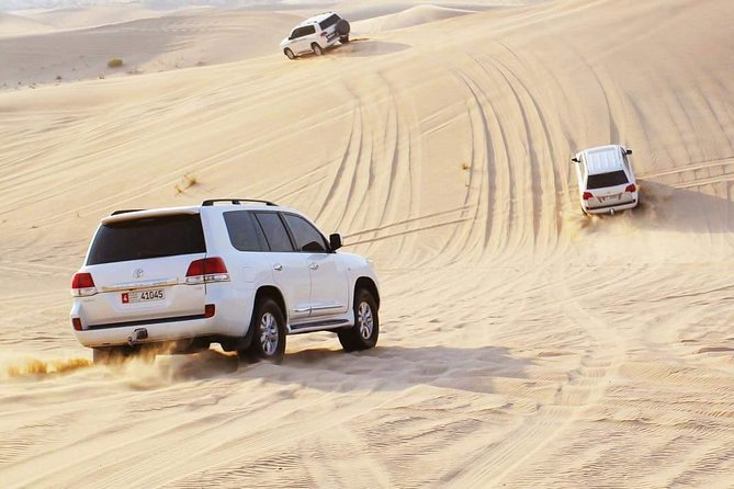 Morning Desert Safari with Camel Ride & Sand Skiing Private Tours - Why the private format matters in the Al Khatim desert