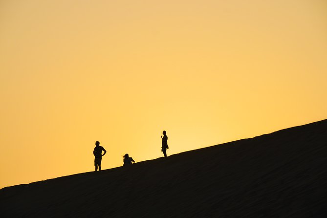Morning Desert Safari with Camel Ride & Sand Skiing Private Tours - What the $120 price really buys you