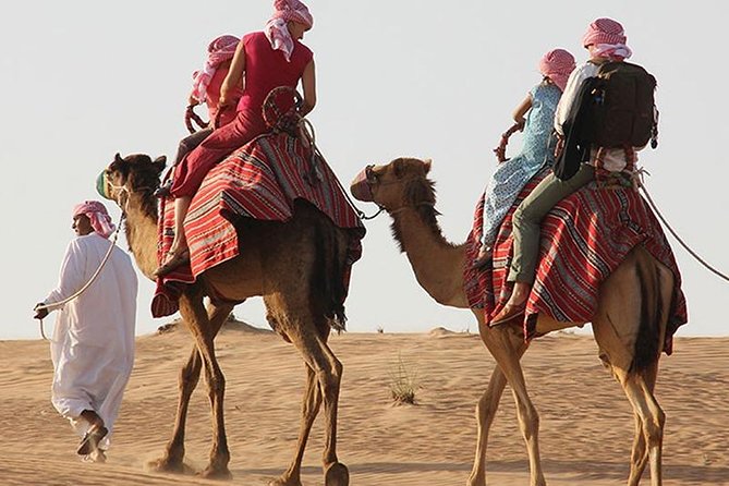 Morning Desert Safari with Quad Bike, Camel Ride & Sandboarding - Sandboarding finishes the active portion