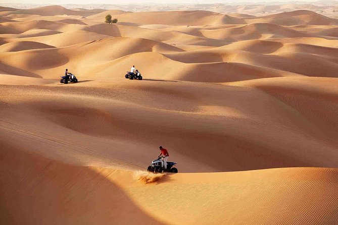 Morning Desert Safari with Quad Bike Tour Abu Dhabi - Ten minutes on a quad bike
