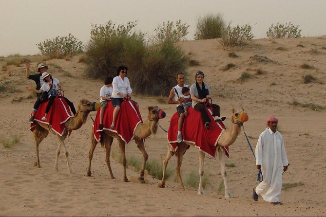 Morning Dubai Desert Dune Bashing and Camel Ride - Why the morning timing works so well