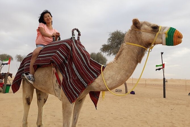 Morning Dubai desert safari - camel rides, quad bikes, dune buggies,dune bashing - Sandboarding on the dune face