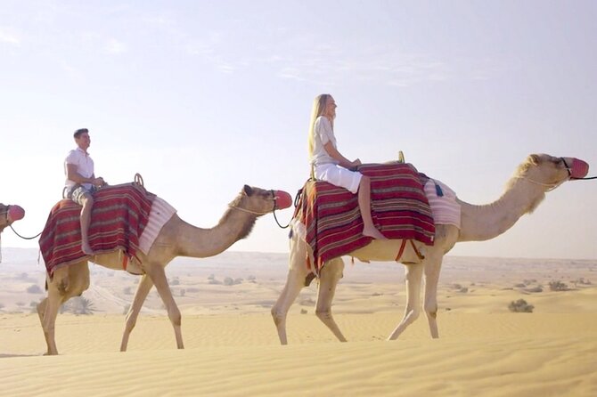Morning Red Dunes Desert by Quad Bike, Dune Bashing, Camel Ride & Sandboarding - Sandboarding from the high dunes