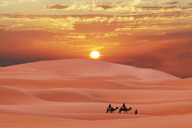 Morning Red Dunes Safari: Camel Ride & Sandboarding Adventure - Sandboarding down the dunes