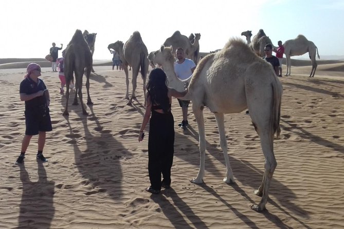 Morning Safari by 4x4 from Dubai with Sand Boarding - Who will enjoy this Dubai safari most