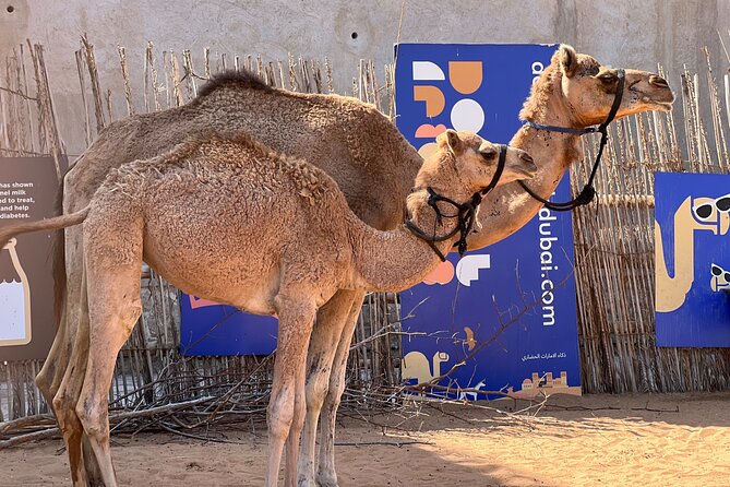 Old Dubai tour: Local Market, Tasting, Dubai creek with Abra ride - Dubai Museum is valuable when open, but do not take entry for granted