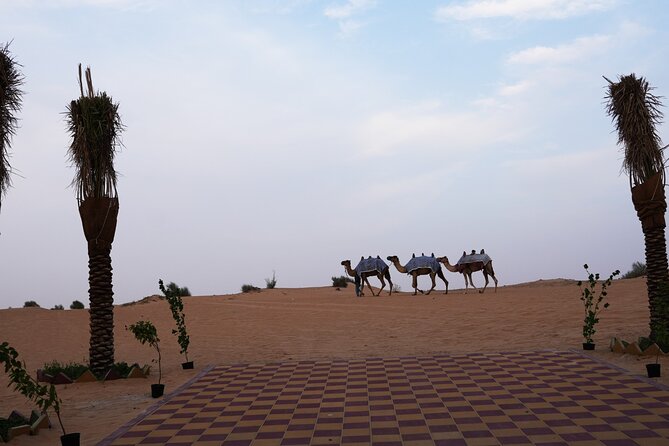 Premium Deluxe Dubai Safari with Camel Ride, Sandboard & BBQ - Dinner under the desert sky