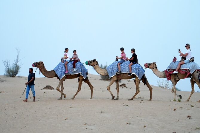 Premium Deluxe Dubai Safari with Camel Ride, Sandboard & BBQ - Tanoura, belly dance, fire, and live music