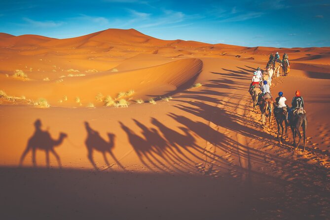Premium Desert Safari with BBQ Dinner - Dubai - The Lahbab Dune Ride and Changing Sunset Colors