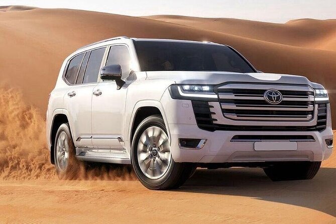 Premium Dubai Desert Safari Experience - Dubai Desert Conservation Reserve: the active part
