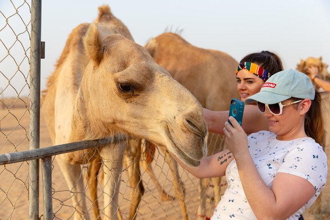 Premium Dubai Desert Safari with BBQ Dinner in the Red Dunes - How the $49 Price Works for You