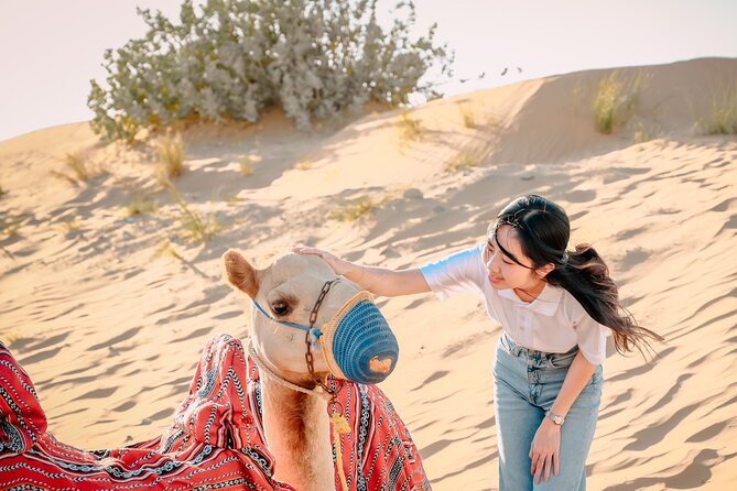 Premium Dubai Desert Safari with Dune Bashing, BBQ, Live Shows - Sandboarding and a Short Camel Ride
