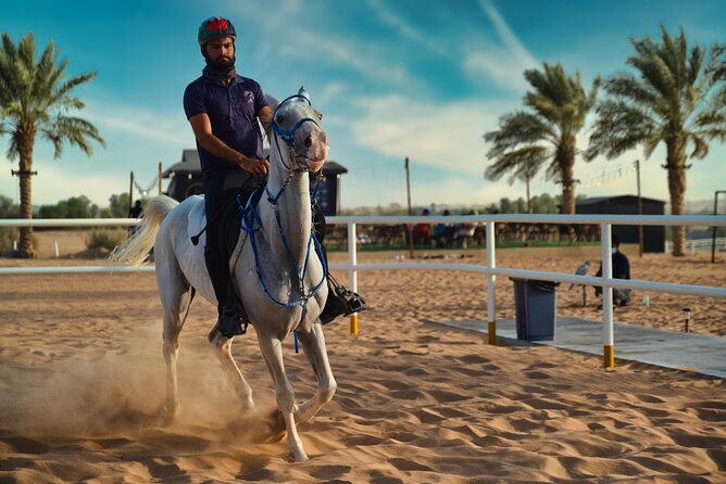 Premium Hot Air Balloon, Breakfast, Camel Ride, Quad Bike & More - Spotting wildlife in the conservation reserve