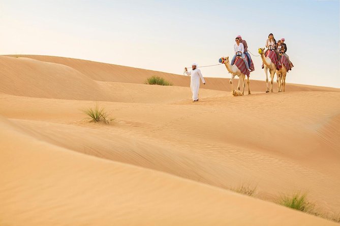 Premium Red Dunes Safari and Camel Safari with BBQ Dinner - Key points before you book